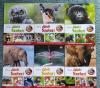 Disney Állati szafari könyvek - Books / Leisure & Sports
